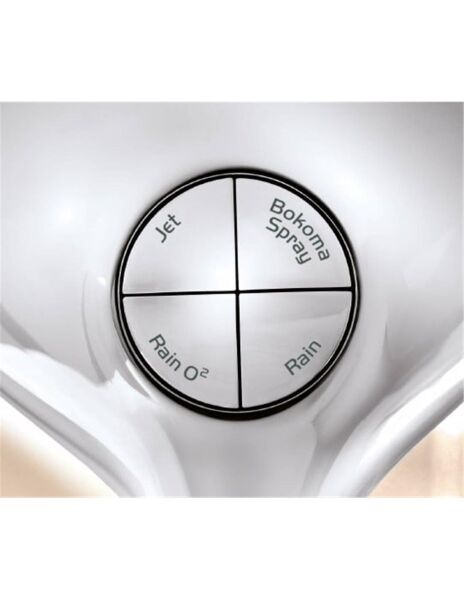 Grohe Power&Soul El Duşu 4 Akışlı 160 mm - 27675000