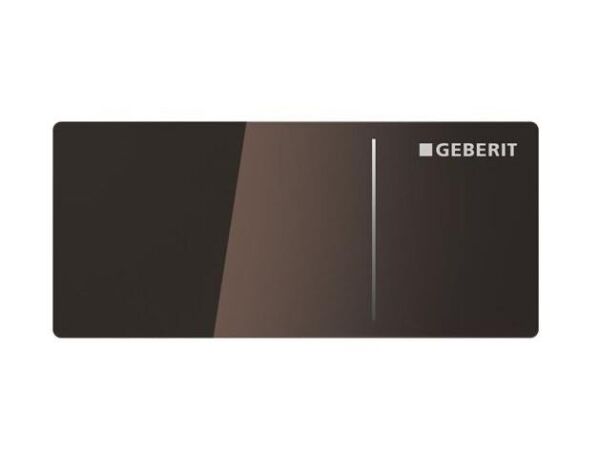 Geberit Type70 Çift Basmalı Sigma12 Toprak Cam - 115.630.SQ.1