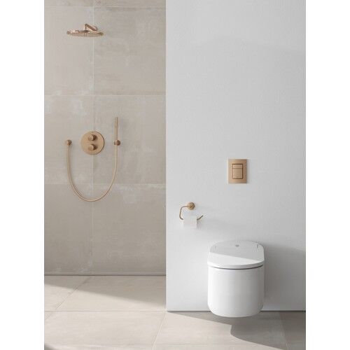 Grohe Essentials Tuvalet Kağıtlığı - 40689DL1